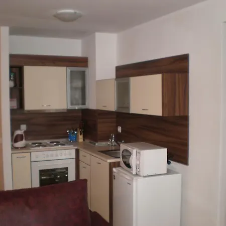 Alexander Services بانسكو